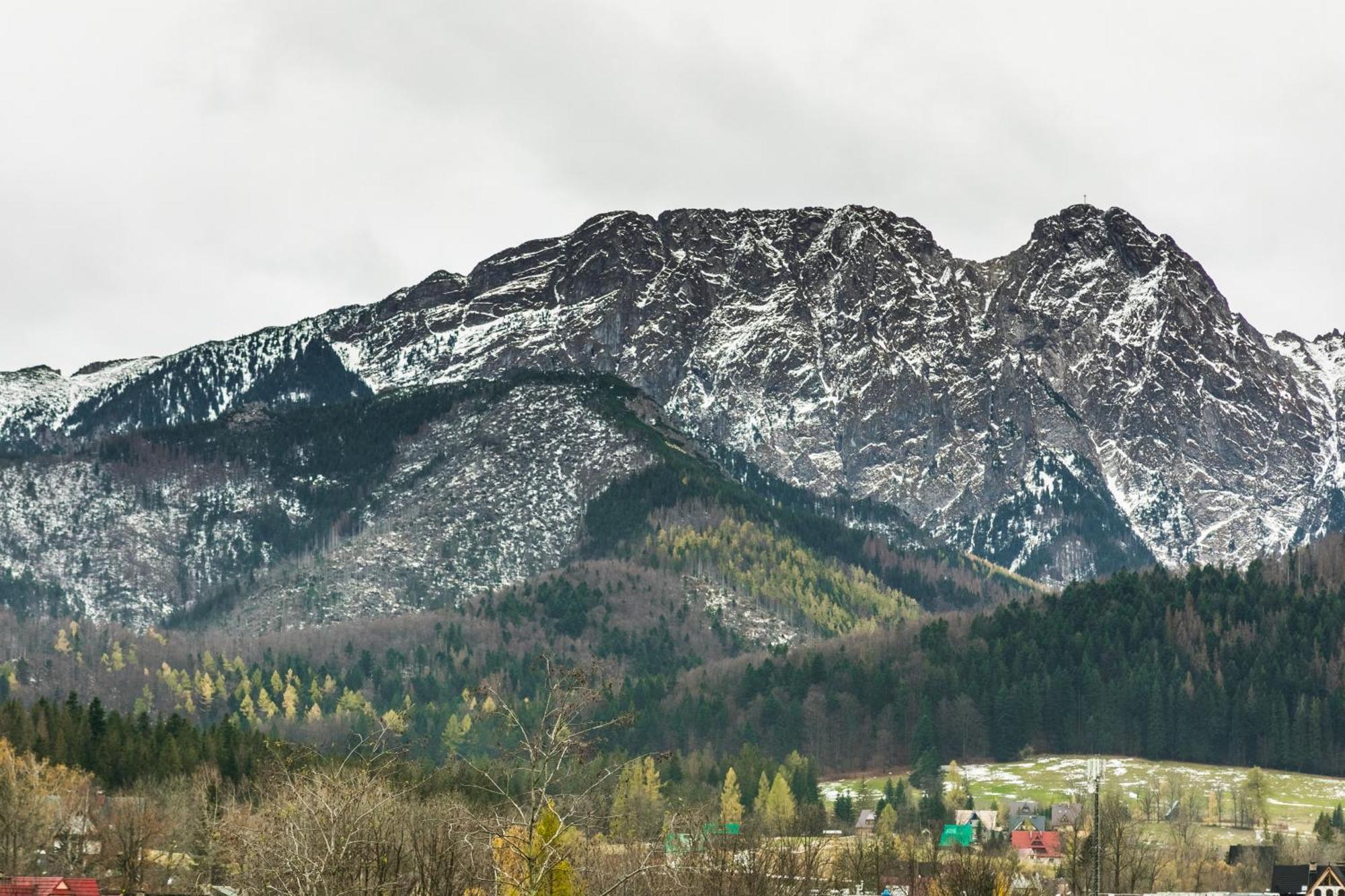 Rent Like Home - Szymoszkowa Zakopane Room photo